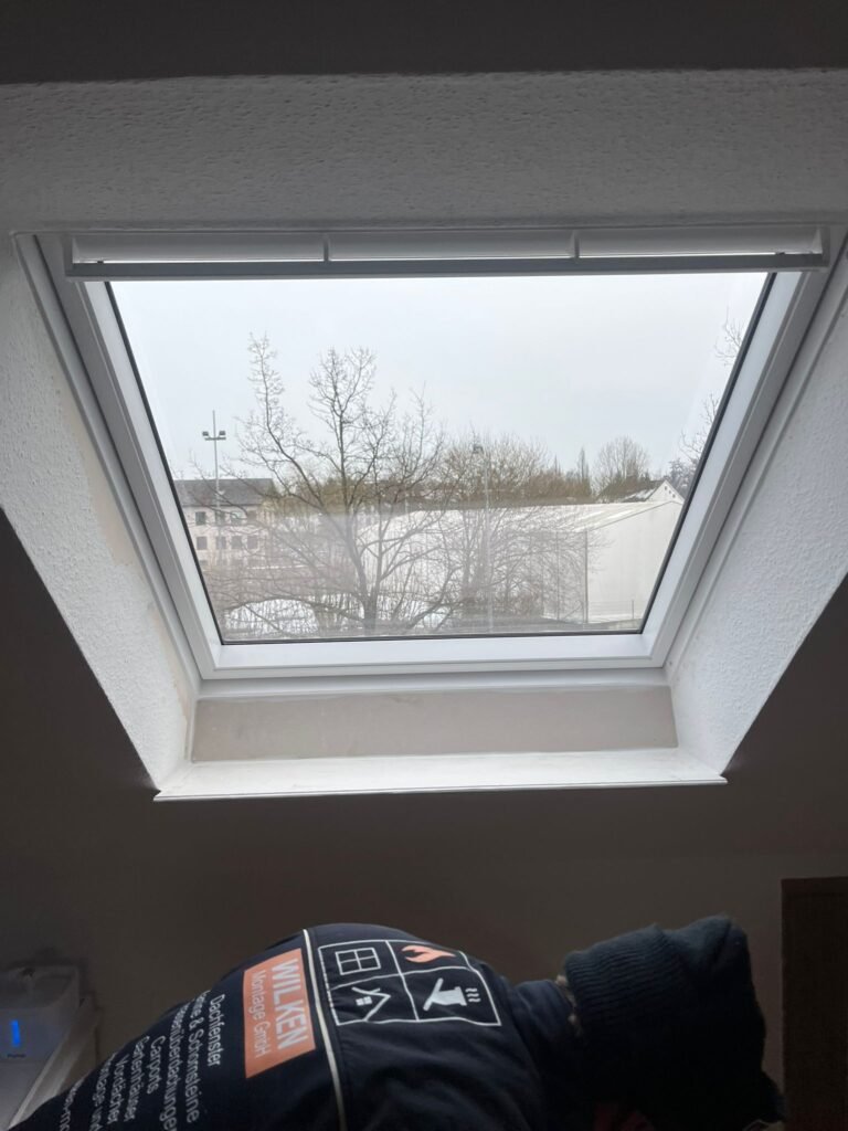 WhatsApp Image 2026-02-26 at 14.34.39